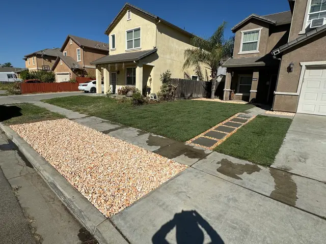 Israel's Yard Clean Up & Gardening — customer photo 9