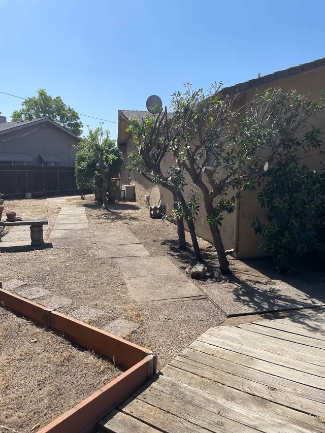 Israel's Yard Clean Up & Gardening — customer photo 4