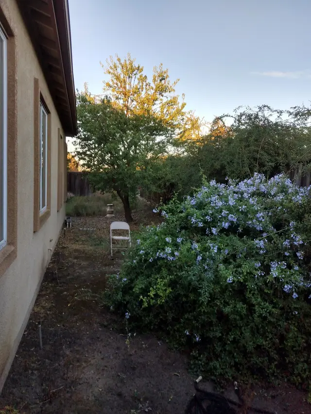 Manteca Property Services — photo from the business 8