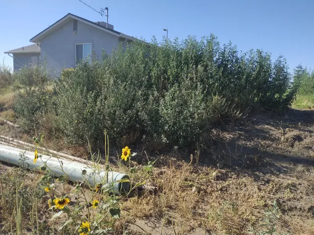 Manteca Property Services — photo from the business 10