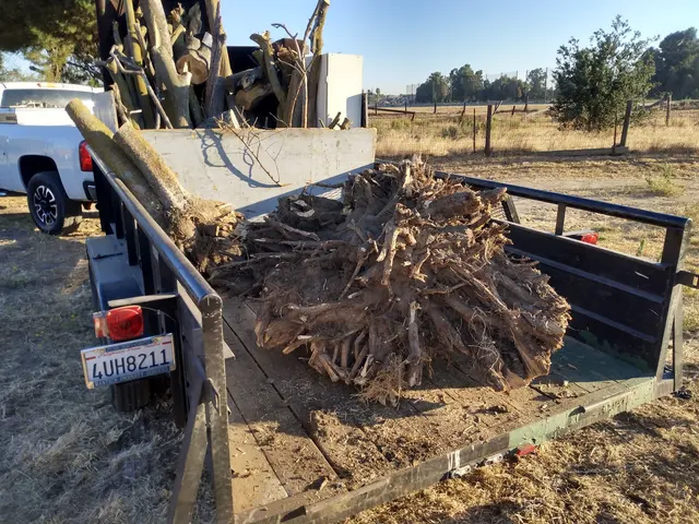 Manteca Property Services — photo from the business 9
