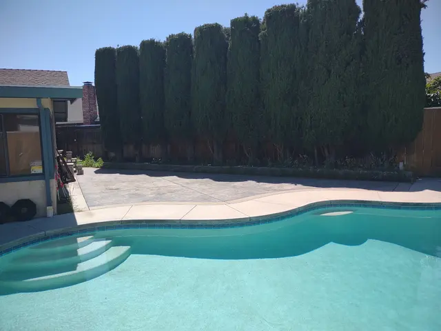 Blue Collar Yard Services — customer photo 4