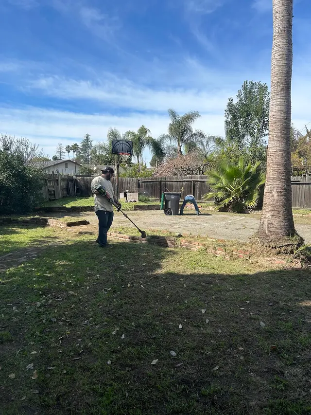 Blue Collar Yard Services — customer photo 3