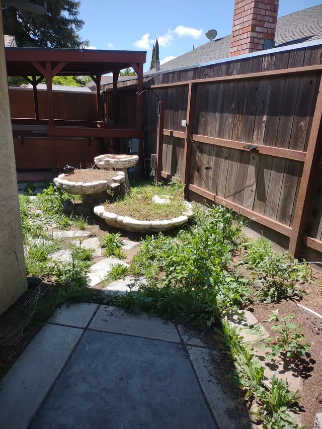 Blue Collar Yard Services — customer photo 11