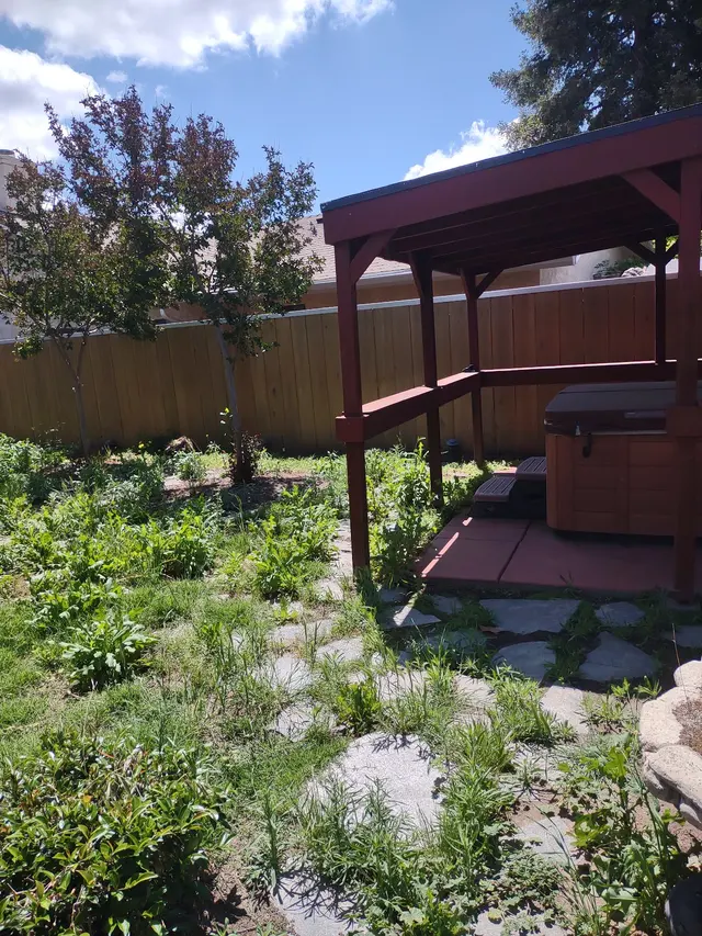 Customer photo of work by Blue Collar Yard Services, from Cheryl Martin's review