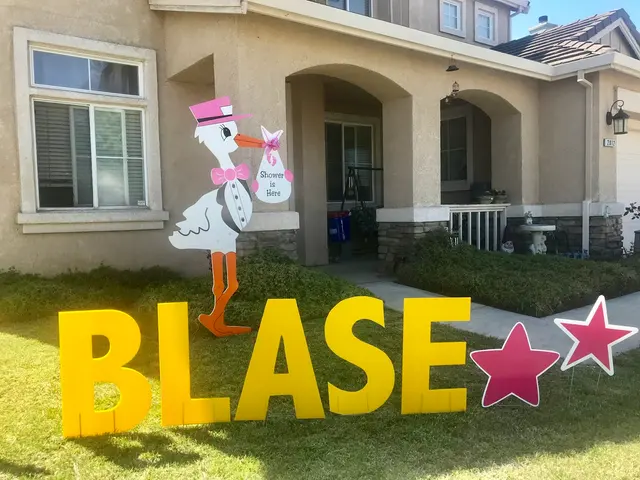 YARDPOPS Storks & More! FUN & UNIQUE YARD SIGNS - We celebrate Birthdays and Babies — photo from the business 8