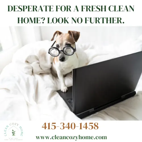 Clean Cozy Home — photo from the business 10
