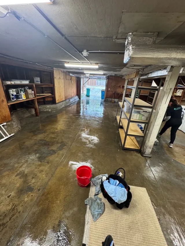 Cleanerific House & Commercial Cleaning — photo from the business 2