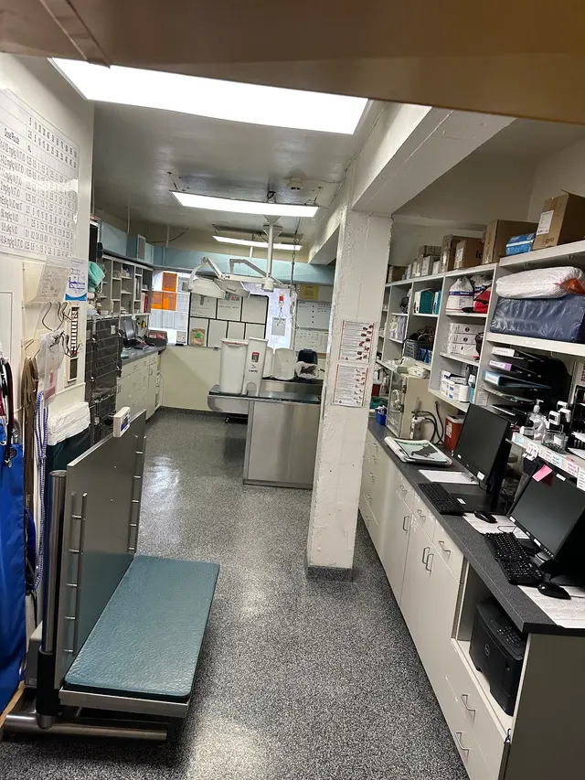 Celestial Cleaning Service — photo from the business 8