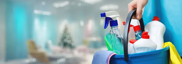The Cleaning Queens — photo from the business 3