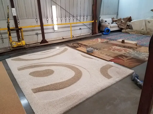 Stoll Rug & Furniture Cleaners — photo from the business 4