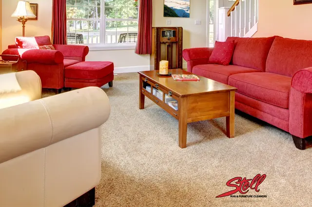 Stoll Rug & Furniture Cleaners — photo from the business 1