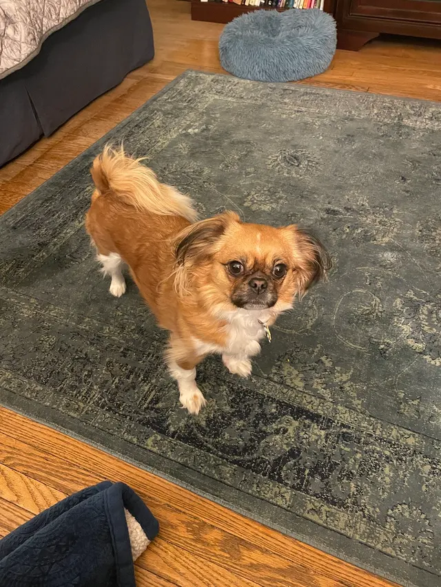 Customer photo of work by The Cleaning Genie, from Cheri Holdridge's review