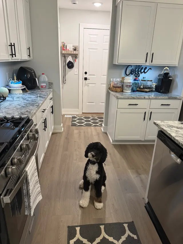 The Cleaning Genie — customer photo 6