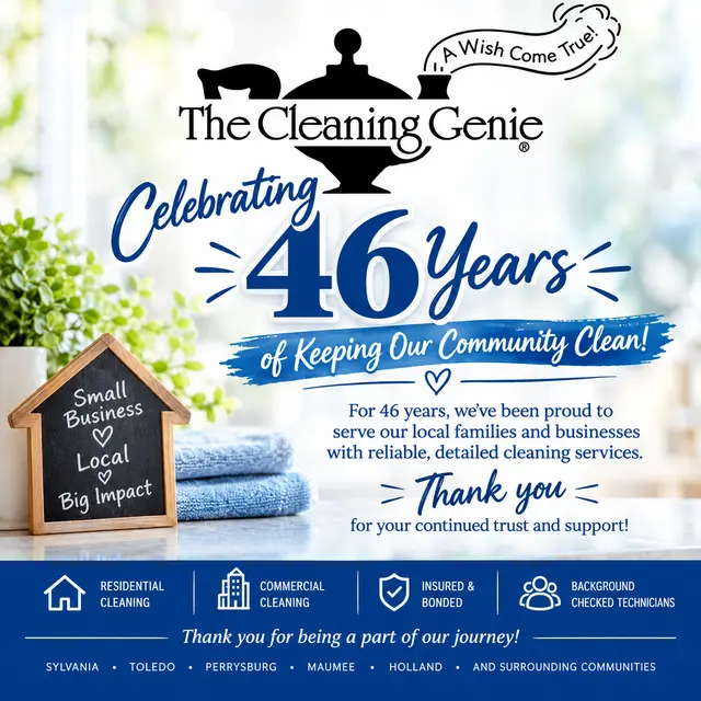 The Cleaning Genie — photo from the business 1
