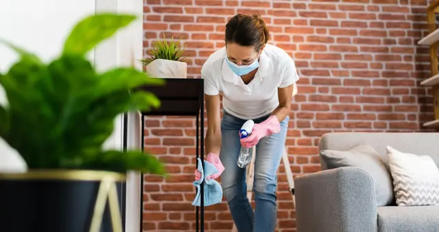505 Clean Queens — photo from the business 11