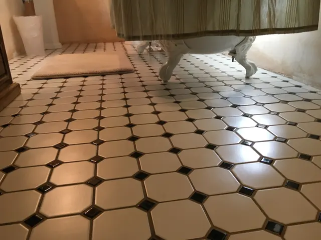 Maid O' Matic — photo from the business 11