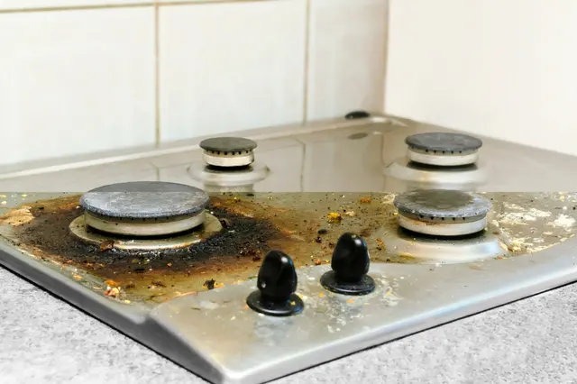 Maid O' Matic — photo from the business 5