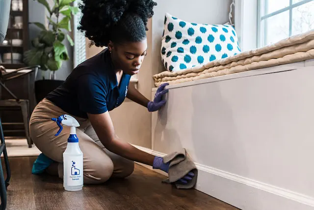 Maid O' Matic — photo from the business 3