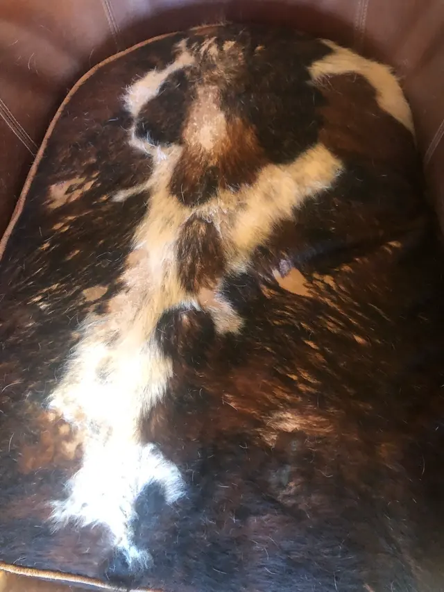 Customer photo from becki's review