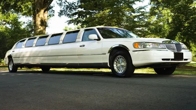 Tortorice Limousine — photo from the business 1