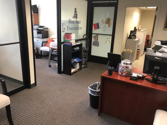 Blue Bear Tax Solutions — photo from the business 2