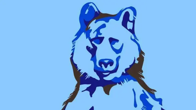 Blue Bear Tax Solutions — photo from the business 12