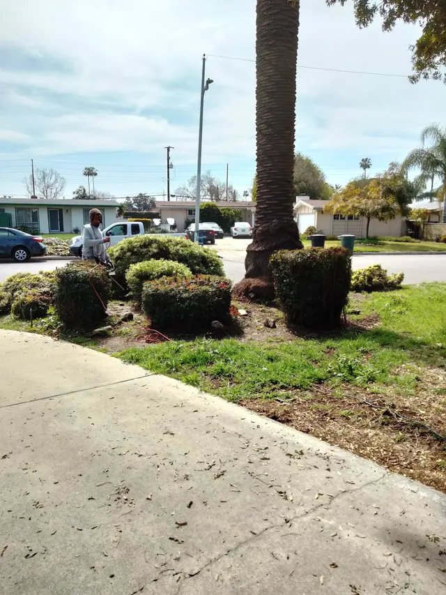 Hacienda Lawnmower — customer photo 2