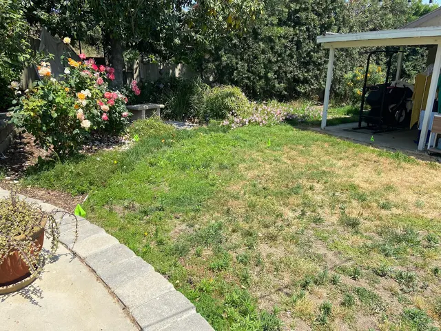 Customer photo from Marco's review
