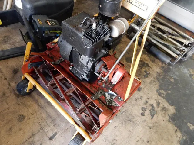 Correa Lawn Mower Services & Sales — photo from the business 12