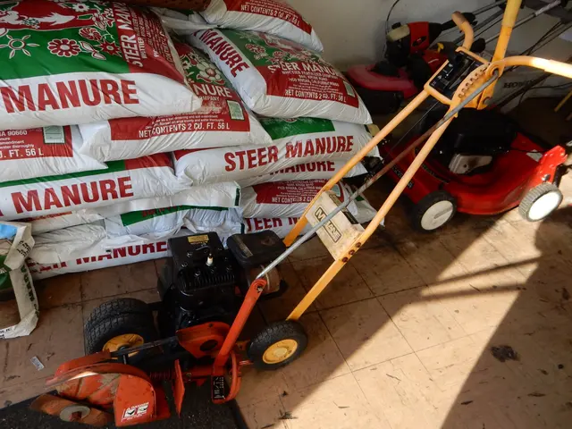 Correa Lawn Mower Services & Sales — photo from the business 10