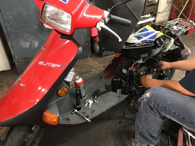 Correa Lawn Mower Services & Sales — photo from the business 11