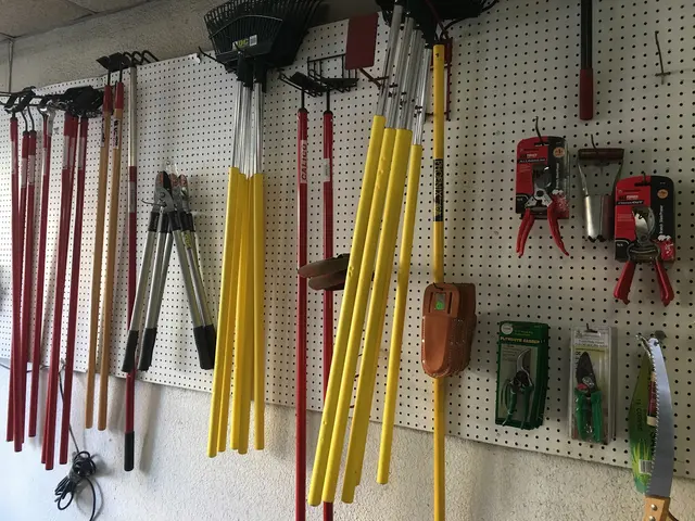 Correa Lawn Mower Services & Sales — photo from the business 6