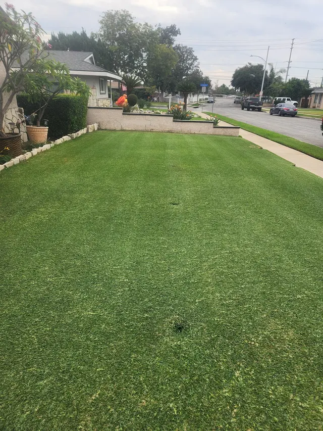 Customer photo of work by Lawn Mower Corner West Covina, from Mike Marin's review