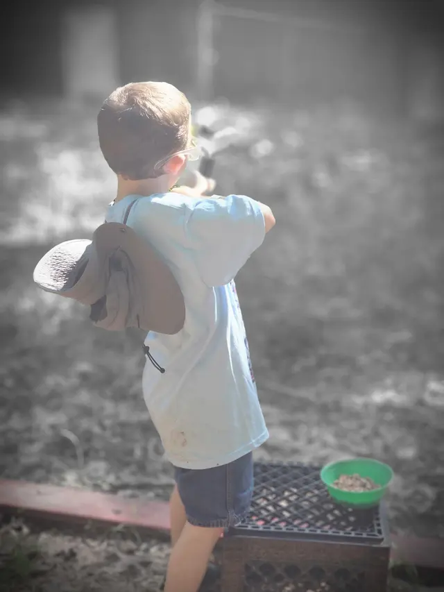 Boxwell Scout Reservation — customer photo 5