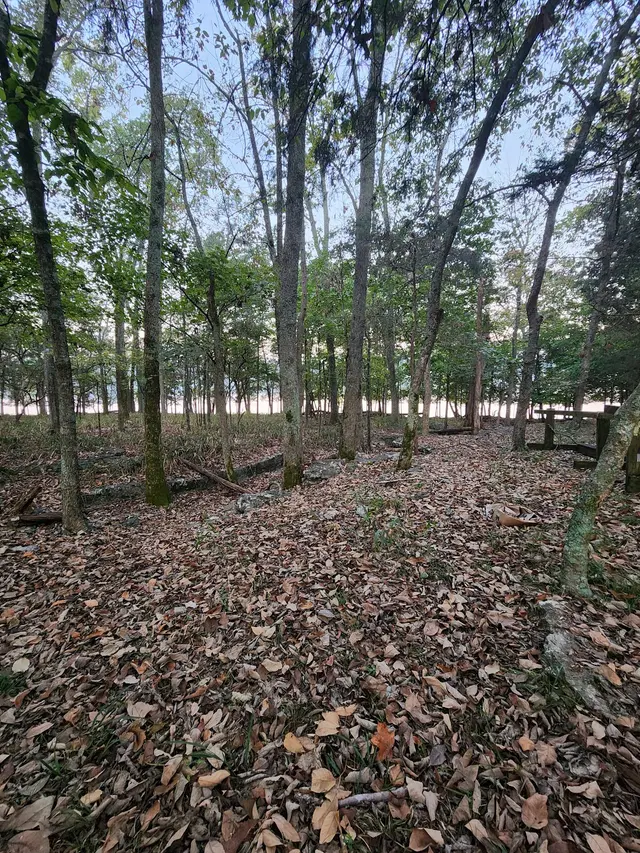 Boxwell Scout Reservation — customer photo 7
