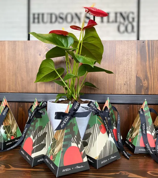 Hudson Styling Co. — photo from the business 6