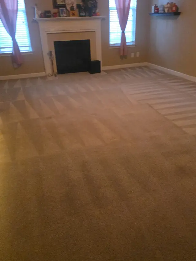 Customer photo of work by Allen's Dry-N-Clean Carpet Cleaning, from bighawk3219's review
