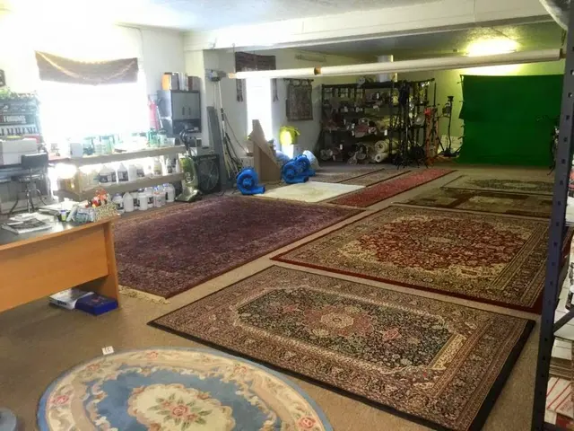 Allen's Dry-N-Clean Carpet Cleaning — photo from the business 6