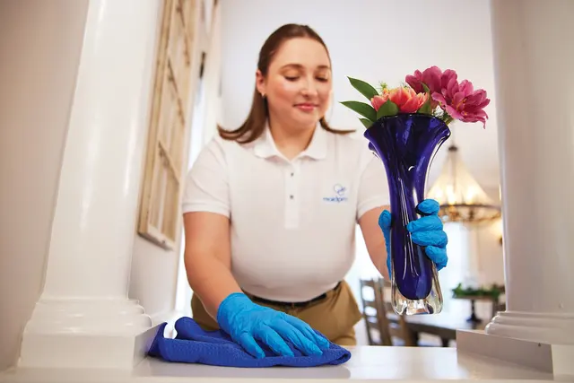 MaidPro — photo from the business 6