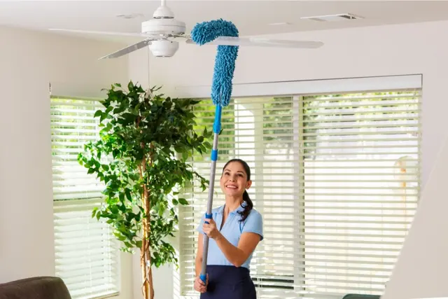 MaidPro — photo from the business 4