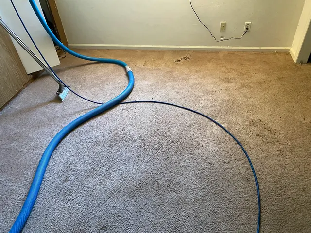 ProTouch - Carpet Cleaning Virginia Beach — photo from the business 6