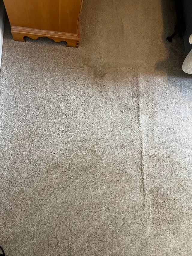 Customer photo from Taylor's review