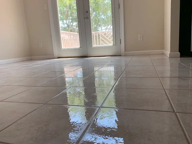 ProTouch - Carpet Cleaning Virginia Beach — photo from the business 8
