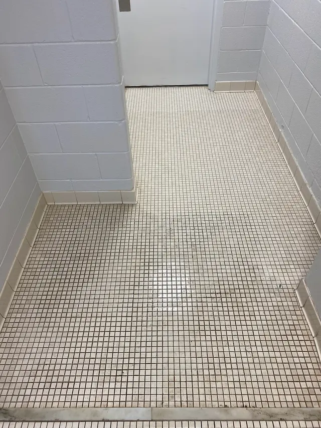 ProTouch - Carpet Cleaning Virginia Beach — photo from the business 11