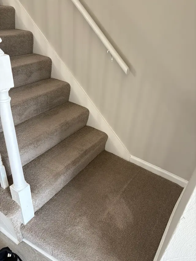 ProTouch - Carpet Cleaning Virginia Beach — customer photo 3