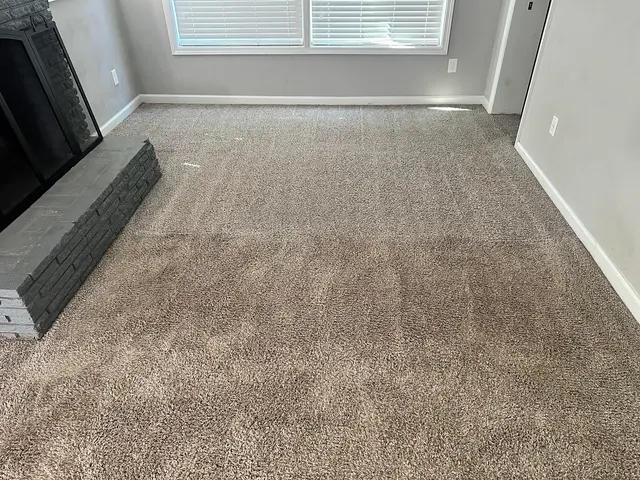 ProTouch - Carpet Cleaning Virginia Beach — photo from the business 2