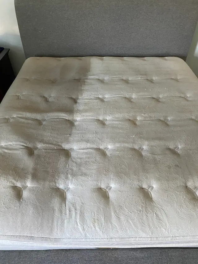 ProTouch - Carpet Cleaning Virginia Beach — photo from the business 9