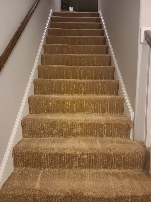 Customer photo from Amanda's review