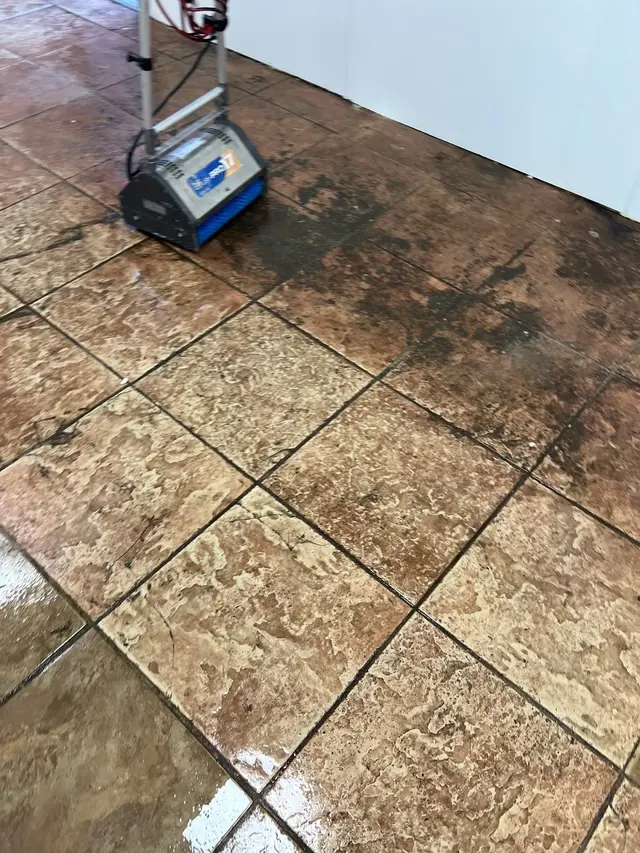 Monster Clean — photo from the business 7